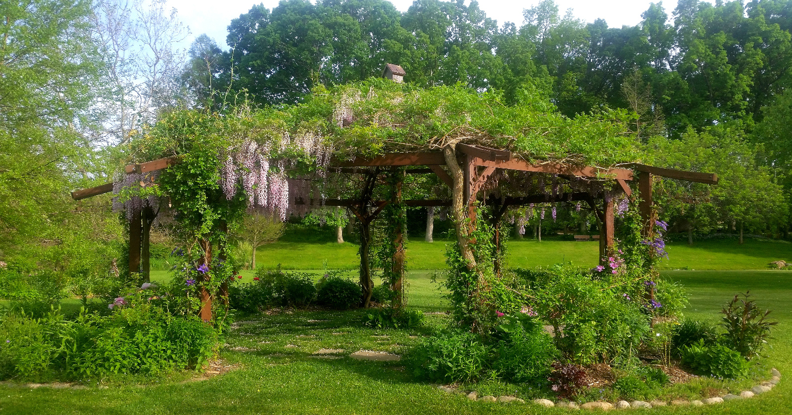PINK WISTERIA AND YELLOW HONEYSUCKLY IN BLOOM ATOP FLOWERING GAZEBO; TREE AND GARDEN PEONY IN BLOOM AND CLEMATIS CLIMB THE POST